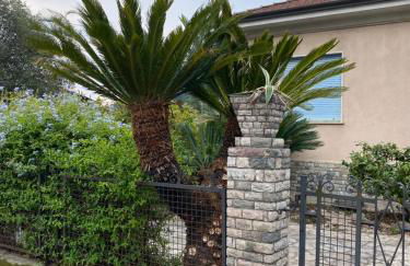 Il giardino delle Cycas - Foto 15