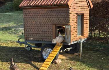 Gemütliche Ferienwohnung mit Sonnenterrasse - Foto 49