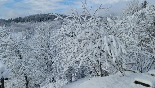 Fuzine Lake Apartments - Foto 5