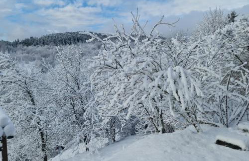 Fuzine Lake Apartments - Foto 5