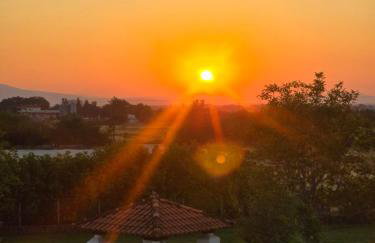 Αρχοντικό Παπανικολάου - Foto 43