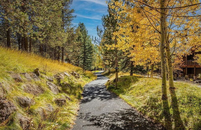 Mt Rainier Lane 1 - Foto 29