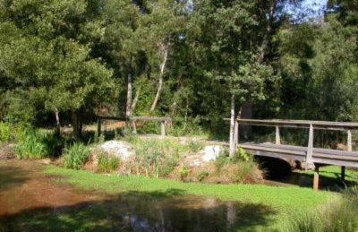 T0 da Casa da Quinta S José - Foto 6