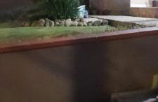 Casa Vintage - Photo 21