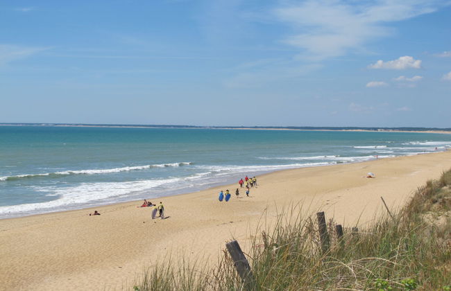 Les Hippocampes - Foto 15