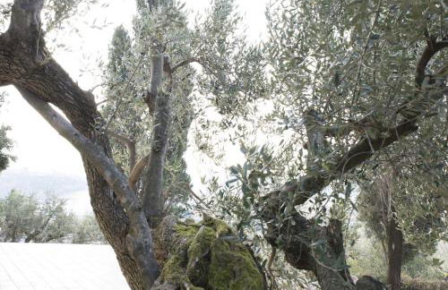 La Dolce Casetta - Foto 9