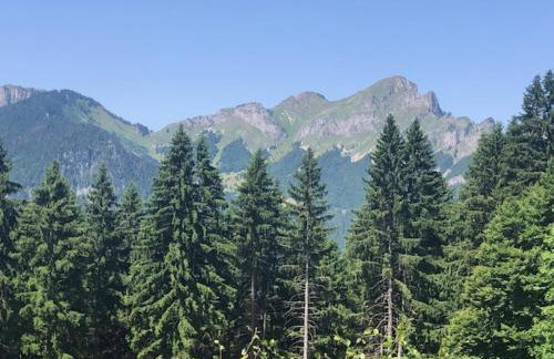 Appartement 8 personnes à Le Biot - Foto 18