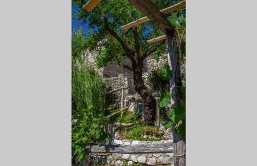 La Caprareccia - Foto 23