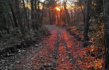 Agriturismo Tassinaia - Foto 32