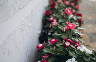 Casa Centro 20m Rio Ar e garagem - Foto 49