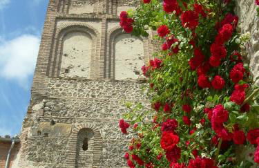 Aparthotel Santa Marina - Foto 8