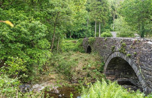 Waedog Bach - Foto 27