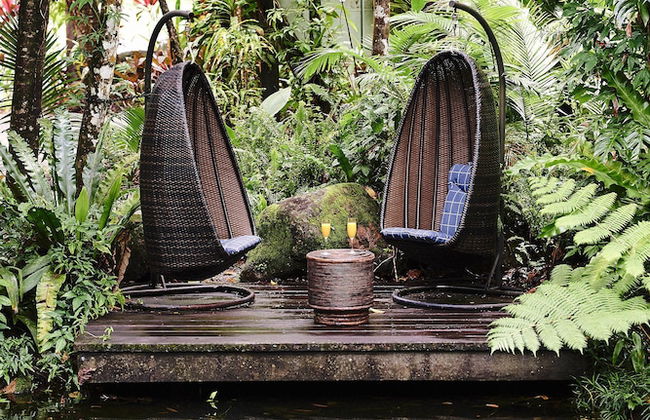 Daintree Ecolodge - Photo 48