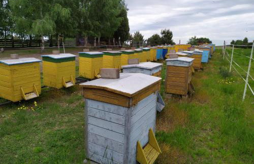 Sielanka Dąbrowa - Foto 17