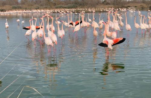 Loft en Provence - Terrasse-Climatisation-Proche Golf et Luberon - Foto 27