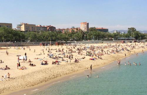 Vila Olimpica Skyline - Photo 2