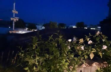 Terra-Crystal - Foto 56