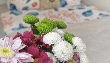 Fewo Wolgast Usedom Ostsee - Foto 4