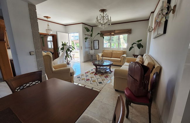 Freeman Greenlees Classical Greek - Foto 9