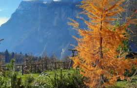 Il giardino di Anna - Appartamento 1 - Foto 19