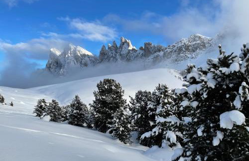 Dolomites Chalet Niuasi - Photo 65