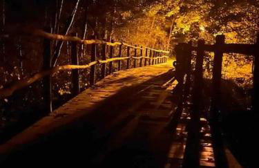 Ferienwohnung Loft Schwielowsee mit Sauna - Foto 13