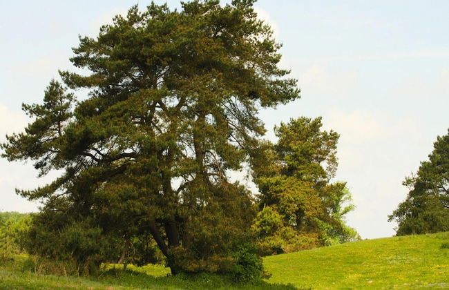 Haus am Gardersee mit Garten - Photo 21