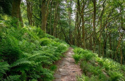 Cheerful 2 bedroom town house in Lancashire - Foto 26