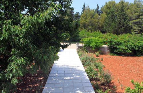 Apartments by the sea Ugljan - 830 - Foto 8