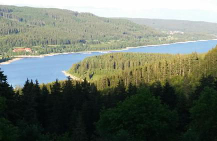 Romantisches Schwarzwaldhaus - Foto 15