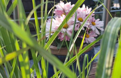 Ferienwohnung mit Herz - Foto 22