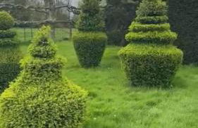 CRESSY HALL - Historic Grade II Listed Manor, Gorgeous Topiary Garden - Foto 60