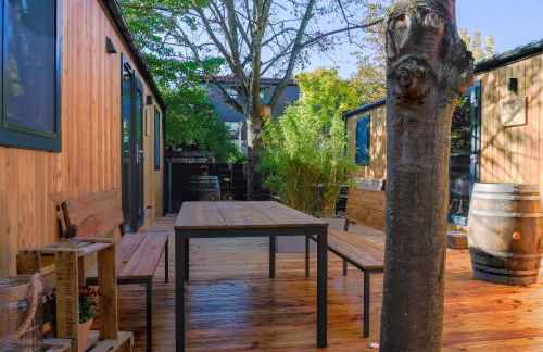 Racoon - Außergewöhnliches Tinyhauserlebnis beim Reptilienzoo Reptilium - Foto 16