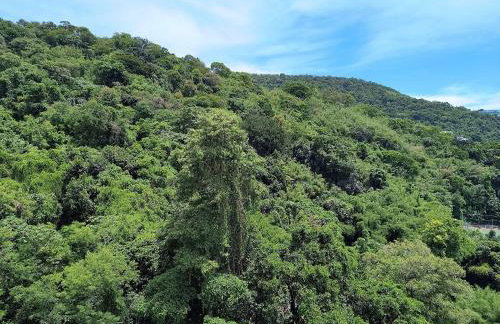 Laranjeiras Cristo Redentor - Photo 25