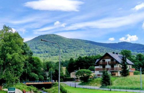 nowe Apartamenty górskie krajobrazy z widokiem na Śnieżnik - Willa Sowia - Foto 36