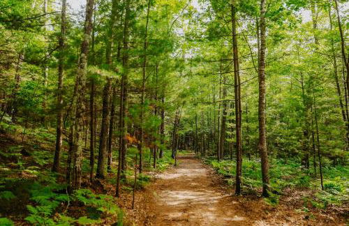 Brandy Bay Hideaway - Foto 33