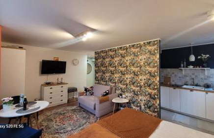 Apartament Przy Parku - Foto 15