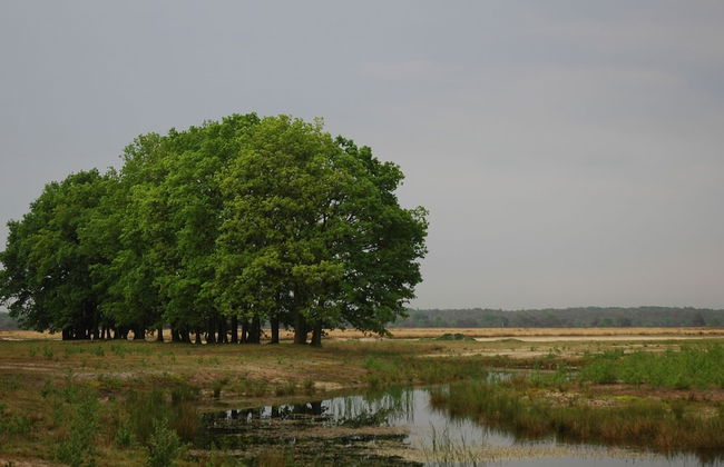 Terraced Home in Voorthuizen Near Veluwe - Foto 26