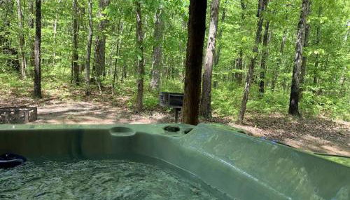 Bird House - Foto 4, Other