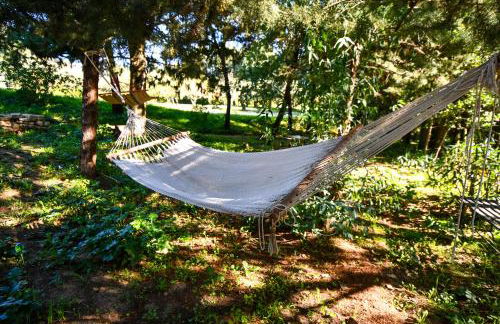 Dream House - Foto 20