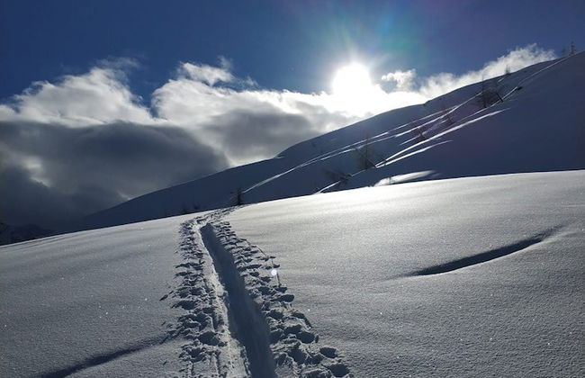 Mascherhof - Foto 35