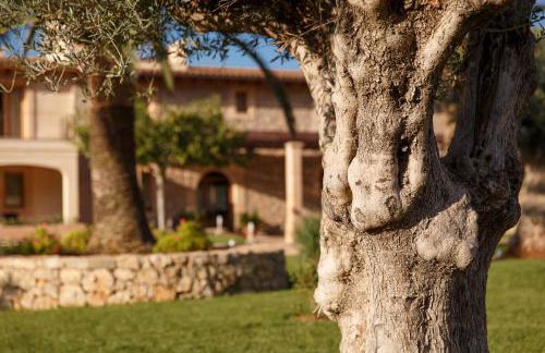 Agroturismo S'Arboçar - Foto 18