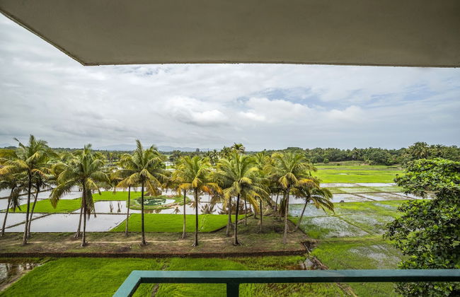 Serenity by The Origami Collection - Foto 23