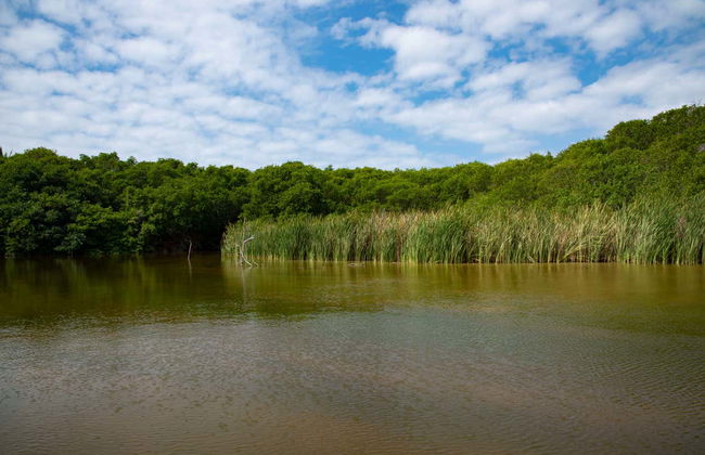 Excursión al Tortugario Ecológico y la laguna de Cuyutlán - Foto 5