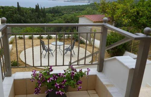 Ανεμώνη - Anemoni - Foto 8