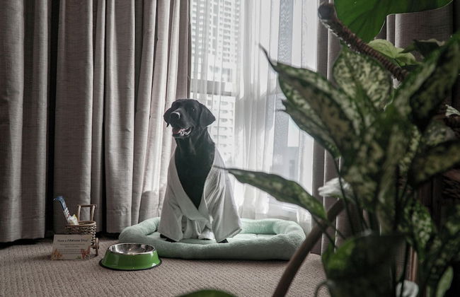 Somerset Millennium Makati - Foto 27