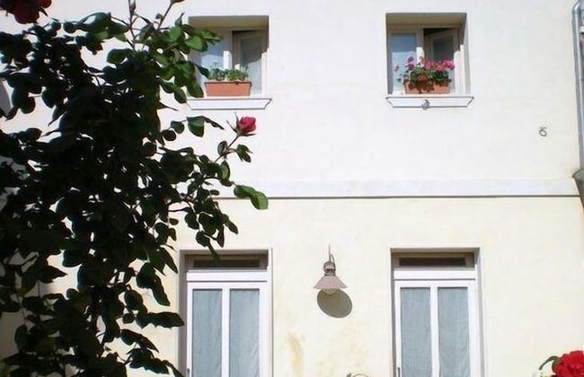 Chicchi di Melograno - Foto 7