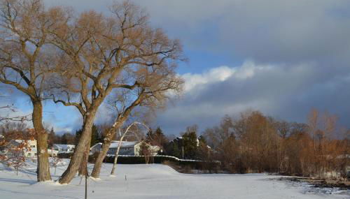 Front Cottage "Green Shutter" - Foto 3