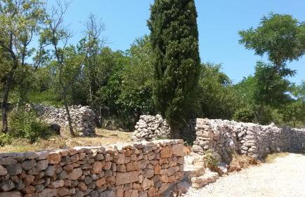 Home Lotus Flower - Foto 6