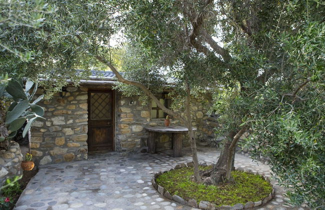 Captain Ikaros - Photo 48